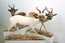 Rùng rợn tác phẩm nghệ thuật không dành cho người yếu tim 