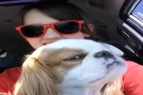 Những gương mặt chó tỏ vẻ “nguy hiểm” nhất thế giới