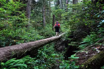 Điểm những con đường khiến bạn muốn “rụng tim” khi đi qua 