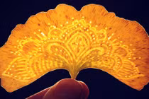 Nghệ thuật biến lá cây thành tác phẩm tạo hình cực sáng tạo