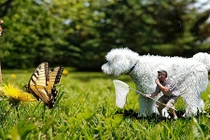 Cuộc phiêu lưu kỳ thú của chó khổng lồ, chủ tí hon 