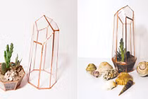 Tự làm nhà kính mini cực cool siêu đơn giản