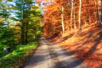 Loạt ảnh khiến bạn ngờ vực chính cả đôi mắt mình 