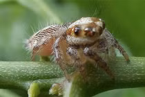 Khám phá sốc về cuộc sống quanh ta ai cũng không ngờ (2)