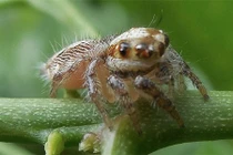 Khám phá sốc về cuộc sống quanh ta ai cũng không ngờ (2)