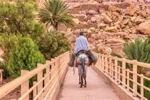 Bí ẩn khó giải cây cầu than thở, độc lạ nhất thế giới