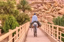 Bí ẩn khó giải cây cầu than thở, độc lạ nhất thế giới