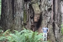 Đỏ mặt với các hình thù giống “của quý” trong tự nhiên