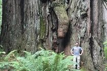 Đỏ mặt với các hình thù giống “của quý” trong tự nhiên