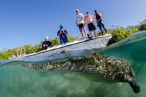 Rợn người nụ cười chết chóc của cá sấu khổng lồ