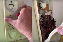 Đang gọi điện bị ngắt kết nối, mở điện thoại phát hiện rợn người...