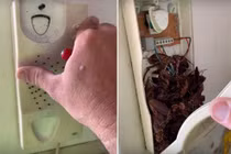 Đang gọi điện bị ngắt kết nối, mở điện thoại phát hiện rợn người...