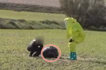 Sửng sốt vật thể lạ nghi UFO từ trên trời rơi xuống