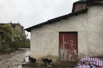 Rùng mình bé 12 tuổi giết mẹ lạnh lùng... và sự thật đau lòng