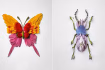 Giật mình “xuất thân” của những côn trùng đẹp tuyệt mỹ