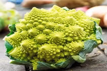 Tận mắt cây súp lơ “ngoài hành tinh” độc lạ