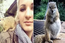 Định mệnh của cô sóc gặp nạn và ân nhân xinh đẹp 