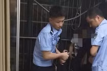 Người đàn ông muốn chết cũng không xong vì... quá béo