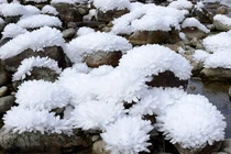 "Độc" loạt ảnh hoàn hảo đến mức khiến bạn dễ chịu như được vuốt ve