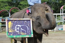 Kinh ngạc trước chân dung tự họa của voi ở Nhật Bản 