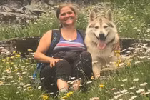 Chó chết oan khi đi dạo với chủ vì điều không ngờ này