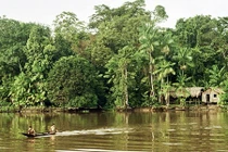 Những bí ẩn giật mình xung quanh rừng mưa Amazon