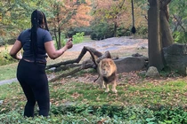 Run người xem cô gái vào chuồng nhảy "điên cuồng" đe sư tử