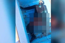 Chết khiếp cá mập cắn đứt "của quý", thợ lặn chết thảm