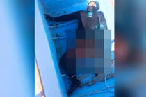 Chết khiếp cá mập cắn đứt "của quý", thợ lặn chết thảm