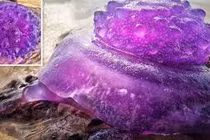 Đi dạo biển gặp “thạch quỷ” kỳ dị, phấn khích khám phá sự thật...