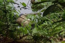 Phát hiện thi thể nam thanh niên tử vong dưới ao làng