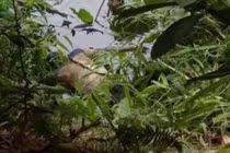 Phát hiện thi thể nam thanh niên tử vong dưới ao làng