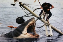 Những vụ động vật giết người choáng váng nhất