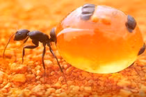 Loạt ảnh ấn tượng có thể đem đến cả cơn bão cảm xúc