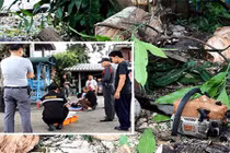 Đang yên đi cưa cây xoài, hai vợ chồng gặp tai nạn thảm khốc 