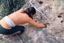 Tưởng kho báu, người phụ nữ đào xuống, phát hiện đáng sợ