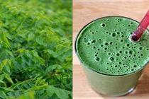 "Thần dược" trị nám không mất tiền vườn nhà nào cũng có