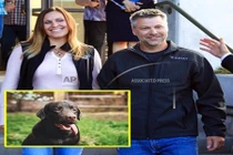 Suýt tù 50 năm, người đàn ông sạch tội nhờ... một chú chó