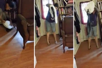 Rắn bò vào phòng, người phụ nữ làm điều ai cũng hãi hùng