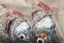 Hí hửng mua cá tươi, người đàn ông phát hiện điều giật mình...