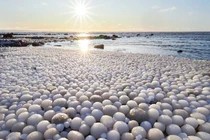 Sự thực bất ngờ sau hiện tượng biển đẻ trứng băng kỳ diệu