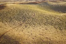 Giải mật bí ẩn vòng tròn thần tiên ở sa mạc Namibia 