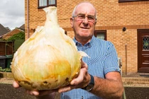 Đào được củ hành tây “khủng” hơn 4 kg, đủ 30 người ăn 