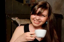 Phát hoảng với quán cafe toàn chuột cống