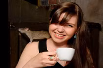 Phát hoảng với quán cafe toàn chuột cống