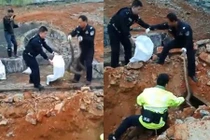 Dọn dẹp phần mộ tổ tiên, tìm thấy điều kinh hoàng 