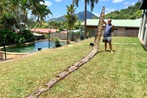 Đi đường thấy thứ lạ thu hút, anh chàng choáng váng phát hiện...