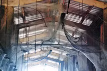 Kinh hoàng hang ổ của 107 triệu con nhện ẩn náu 