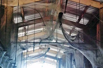 Kinh hoàng hang ổ của 107 triệu con nhện ẩn náu 