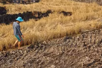 Cứ thế này, bao giờ bằng được Malaysia, Thái Lan?